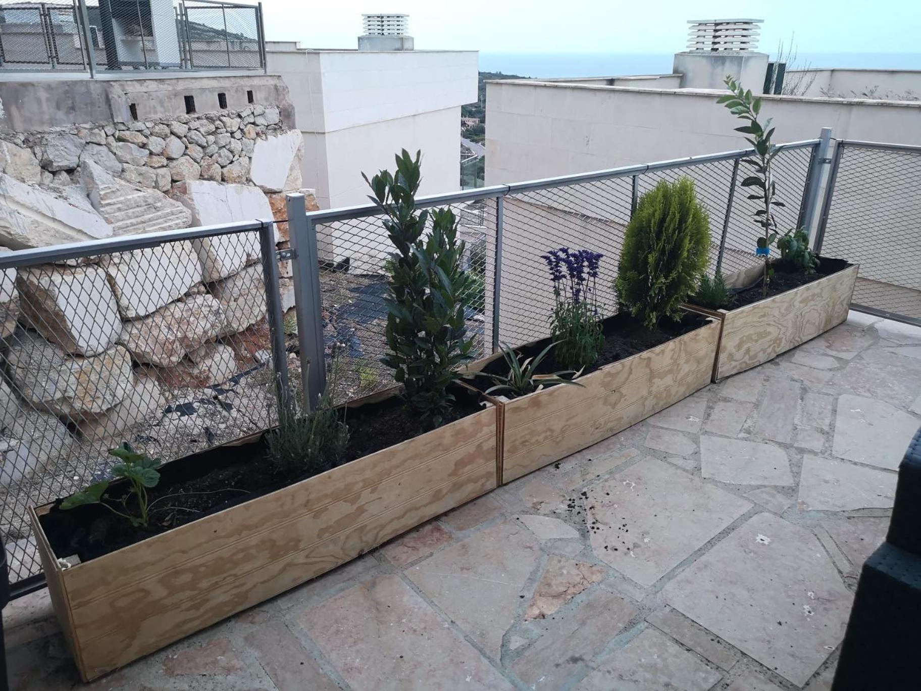 דירות La Casa Del Mirlo Azul - Peñíscola מראה חיצוני תמונה
